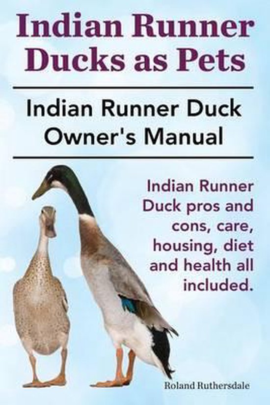 Indian Runner Ducks as Pets. Indian Runner Duck Pros and Con - Roland Ruthersdale