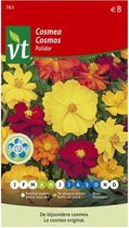Cosmea 'Polidor' Zaden - Kleurrijke Bloemenmix voor Tuinen en Bloembedden