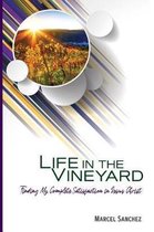 Life in the Vineyard