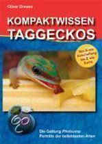 Kompaktwissen Taggeckos