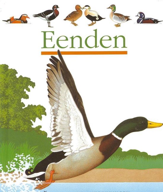 Eenden