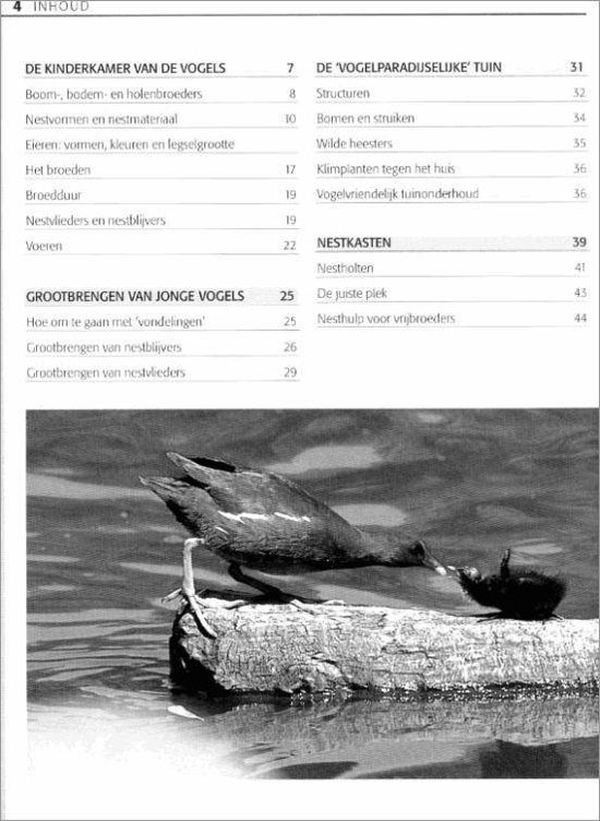Vogels In De Nesten