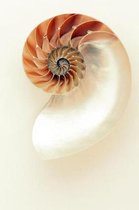 Luminous Nautilus Shell Journal