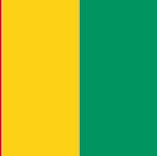 drapeau Guinée, Drapeaux guinéens 100x150cm