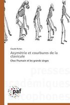 Omn.Pres.Franc.- Asymétrie Et Courbures de la Clavicule