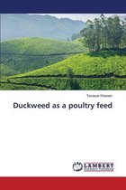 Duckweed as a poultry feed