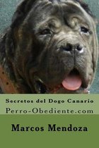 Secretos del Dogo Canario