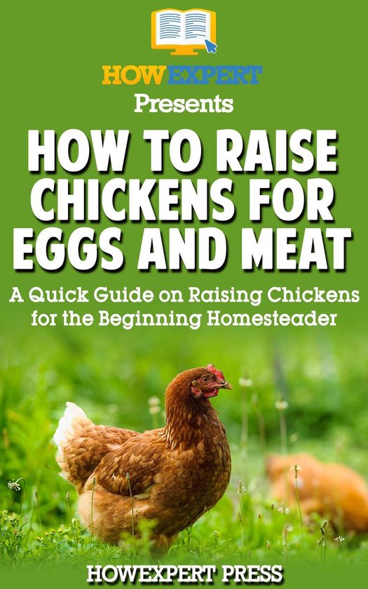 How To Raise Chickens For Eggs And Meat A Quick Guide On Raising Chickens For The Bol Com