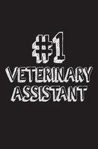 #1 Veterinary Assistant