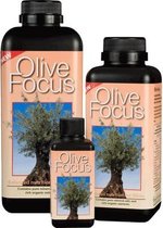 Olive Focus - 300ml bemesting voor optimale prestaties voor olijfbomen (goed voor 30 liter) | Olijf voeding