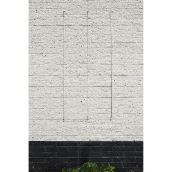 Nature - Spandraadsysteem voor klimplanten - 10m - verzinkte kabel - spandraad