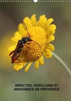 Julien, M: Insectes, papillons et araignées de Provence (Cal