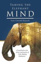Taming the Elephant Mind