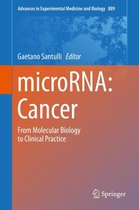 Advances in Experimental Medicine and Biology 889 - microRNA: Cancer