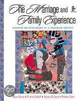 The Marriage And Family Experience