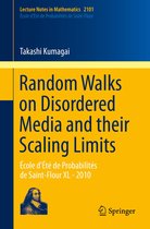 Lecture Notes in Mathematics 2101 - Random Walks on Disordered Media and their Scaling Limits
