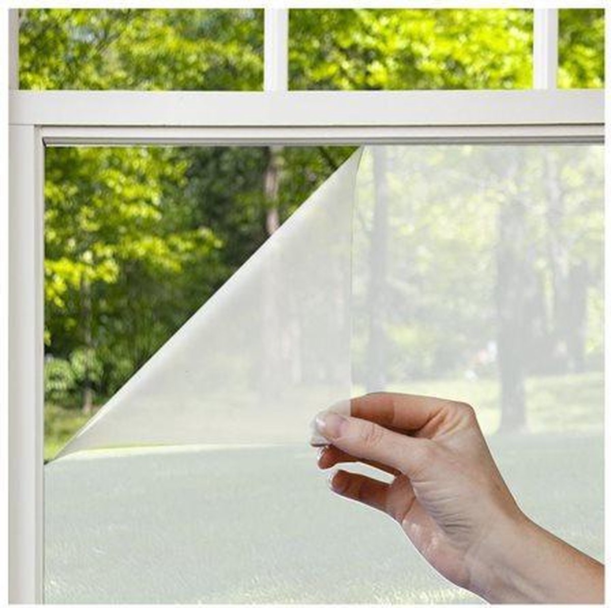 Наклеить пленку на окно в квартире. Пленка на окна. Прозрачная пленка на окна. Непрозрачная пленка на окна. Пленки для оконных стекол.
