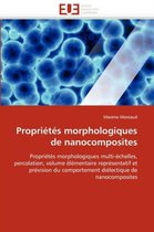 Propriétés morphologiques de nanocomposites