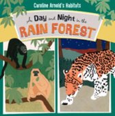 A Day and Night in the Amazon Rainforest