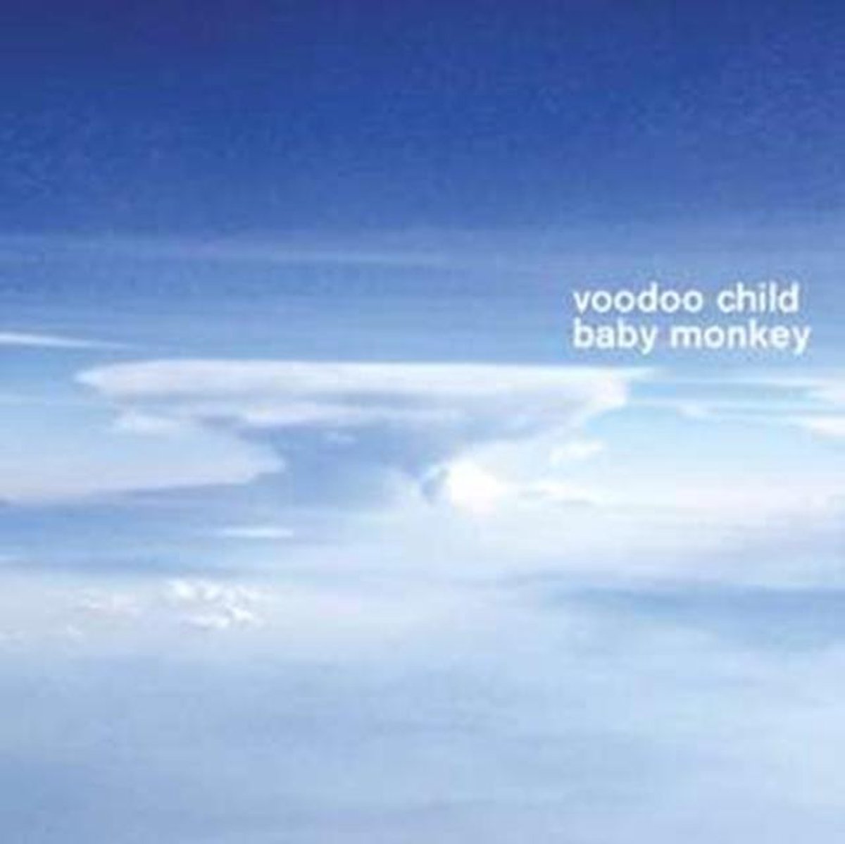 Voodoo Child (Moby) - Baby Monkey