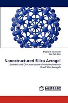 Nanostructured Silica Aerogel