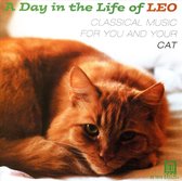 A Day in the Life of Leo - Music for You and Your Cat
