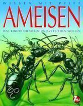 Ameisen