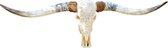 Longhorn skull gegraveerd echt