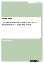 Literarische Texte im Englischunterricht - Nick Hornby's 'A Long Way Down'