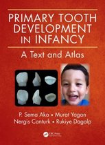Primary Tooth Development in Infancy