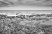 Schilderij - De Noordzee en duinen in zwart en wit, premium print, 3 maten , Wanddecoratie