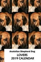 Anatolian Shepherd Dog Lovers 2019 Calendar