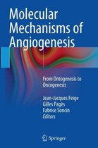 Molecular Mechanisms of Angiogenesis