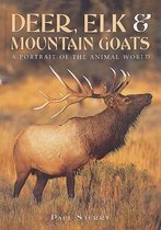 Deer, Elk And Mountain Goats