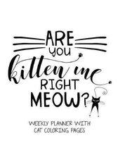 Are You Kitten Me Right Meow? Weekly Planner With Cat Coloring Pages