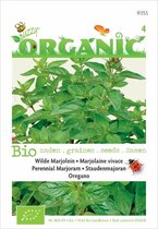 Buzzy® Organic Marjolein - Oregano (BIO)