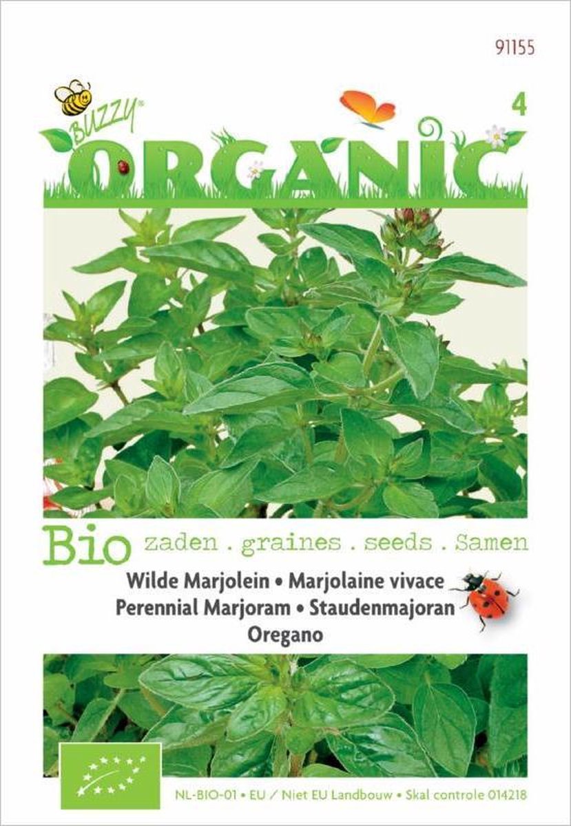 Buzzy® Organic Marjolein - Oregano (BIO) - Buzzy® Organic