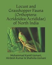 Locust and Grasshopper Fauna (Orthoptera