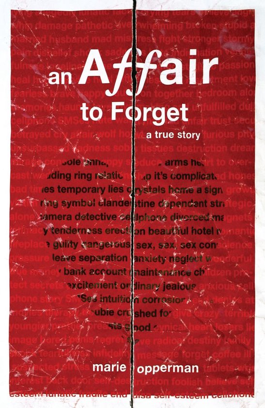 An Affair to Forget