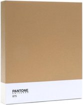 Pantone Art Schilderij Classic - 30 x 25 cm - Goud