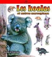 Les Koalas Et Autres Marsupiaux