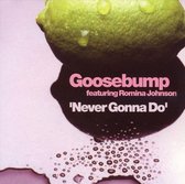 Never Gonna Do [CD/12"]