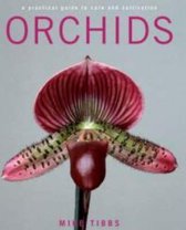 Orchids