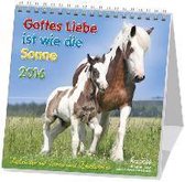 Gottes Liebe ist wie die Sonne 2022