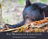 The Wonder of Cades Cove