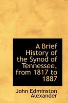 A Brief History of the Synod of Tennessee, from 1817 to 1887