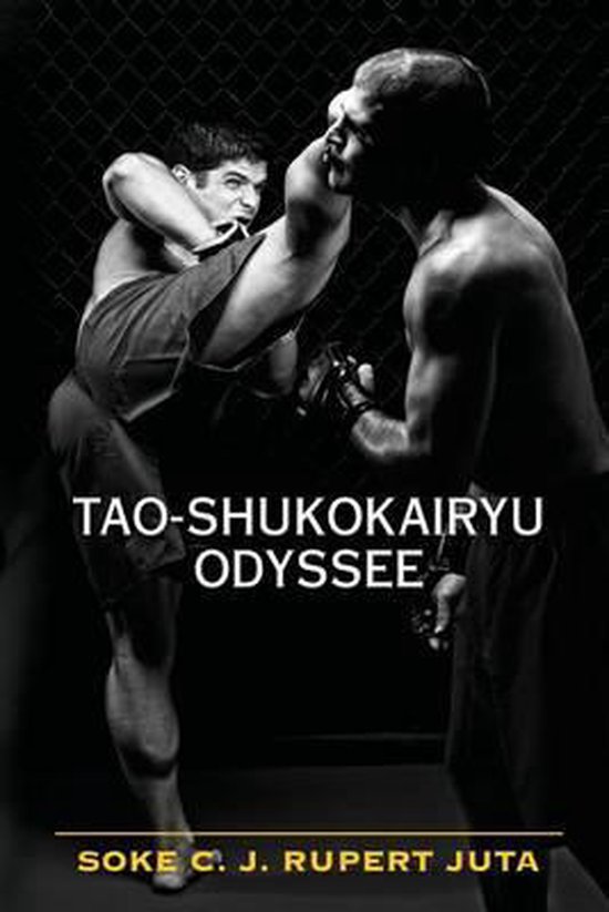 Tao-Shukokairyu Odyssee - cover