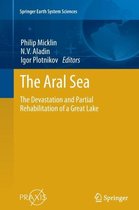 The Aral Sea