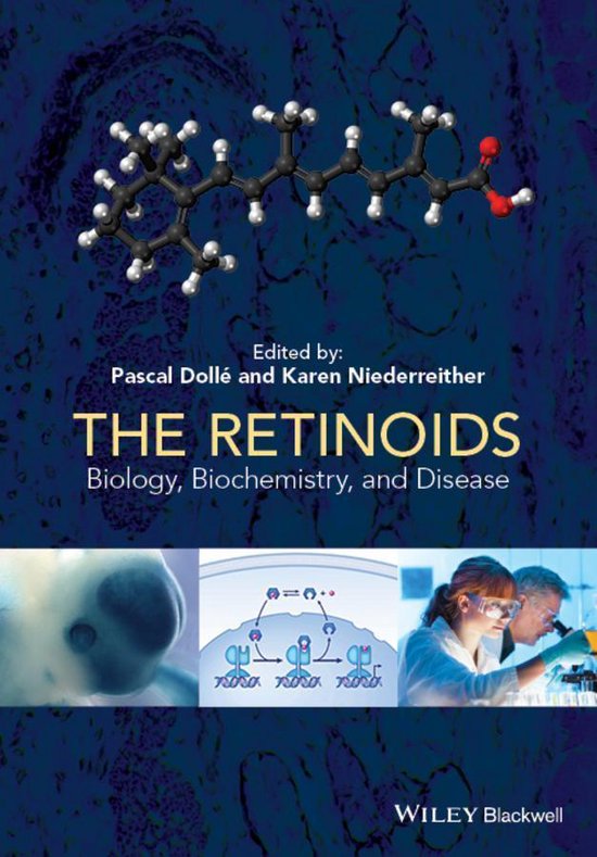 The Retinoids - cover
