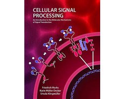 Cellular Signal Processing